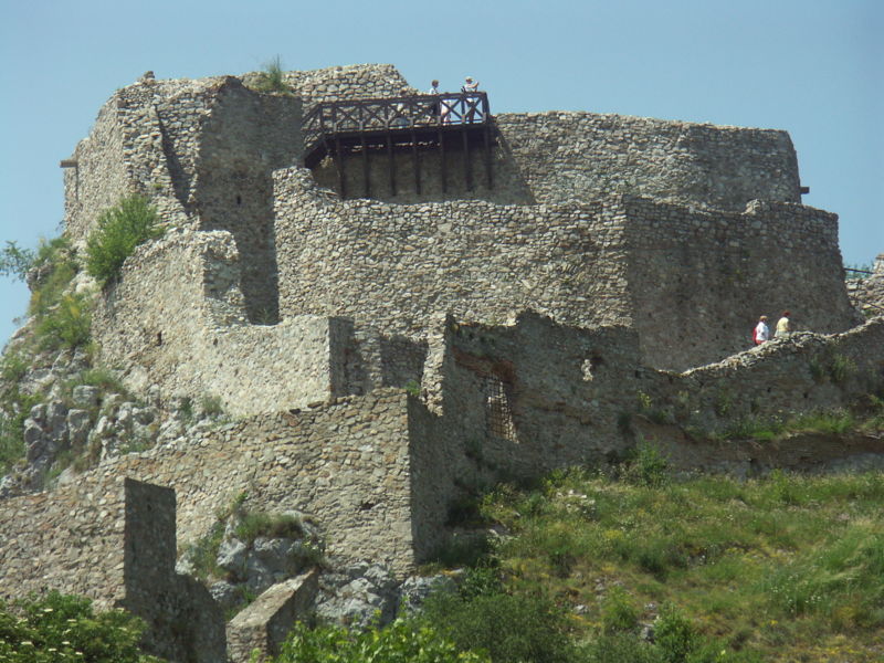 devin castle